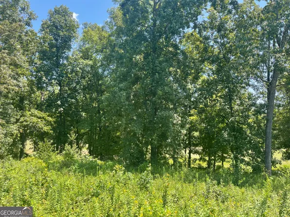 11 Oak Dr, Hawkinsville, GA 31036