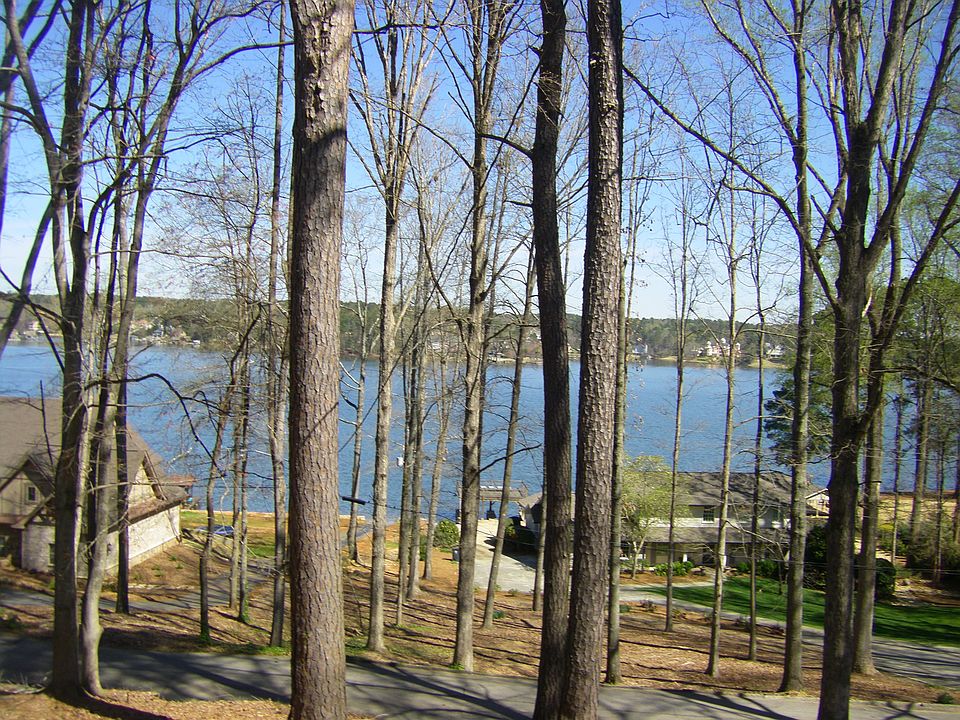 View from the home