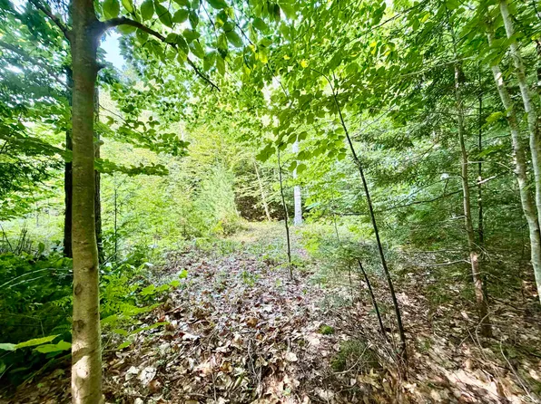 Lee Brook Road, Thornton, NH 03223