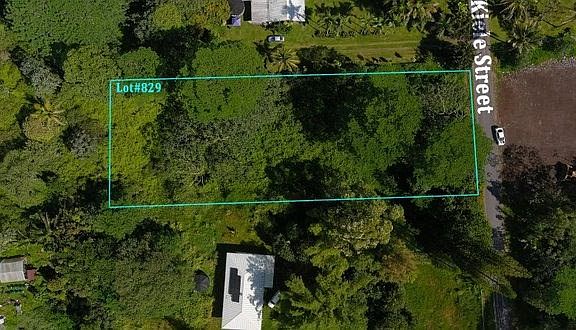 3rd image of 15-1926 10th Ave Lot 829