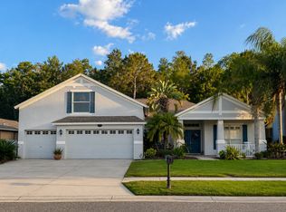 16110 Dakota Dr, Odessa, FL 33556