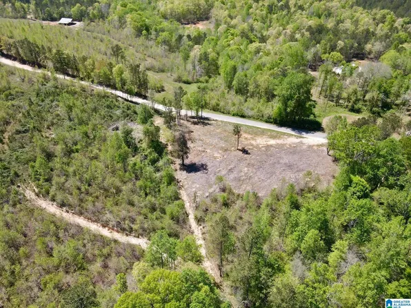 0 Landfill Rd #1, Ashland, AL 36251