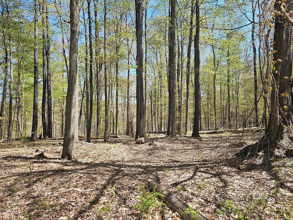 2nd image of Santo Domingo Ct Lot 2