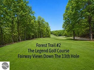 2 Forest Trl, Bellaire, MI 49615