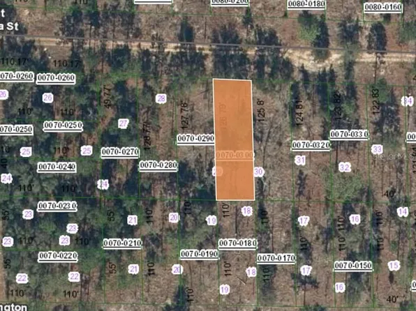 129 W Virginia St #30, Hawthorne, FL 32640