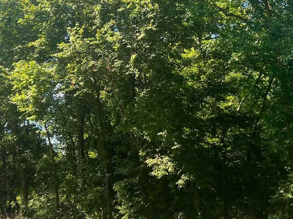 N Highway 271, Talco, TX 75487