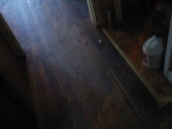4th image of 2040 W 17th St