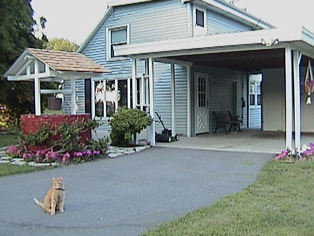 Front of house