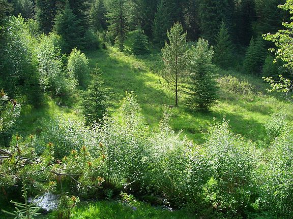 View of creek