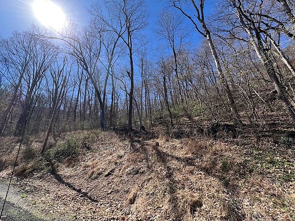 4th image of 44 Wildcat Ln #41