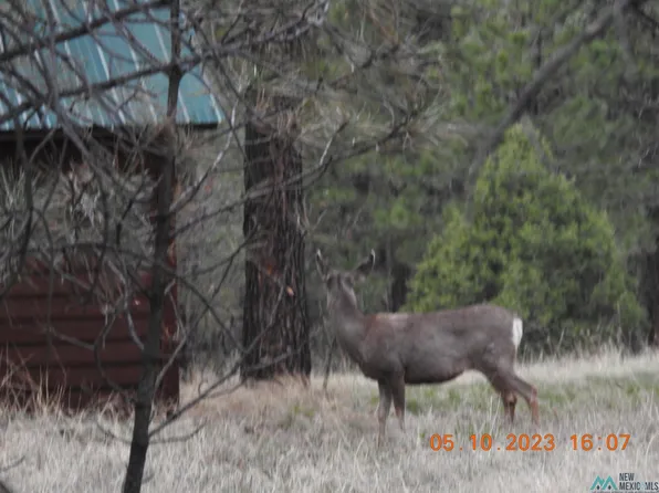 21-22 23 Sierra Loop, Guadalupita, NM 87722