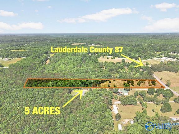 4th image of 87 Cindy Rd