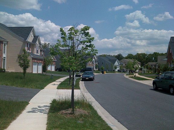 Street view 1