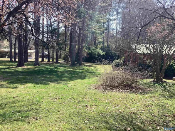 85 View Dr, Scottsboro, AL 35769