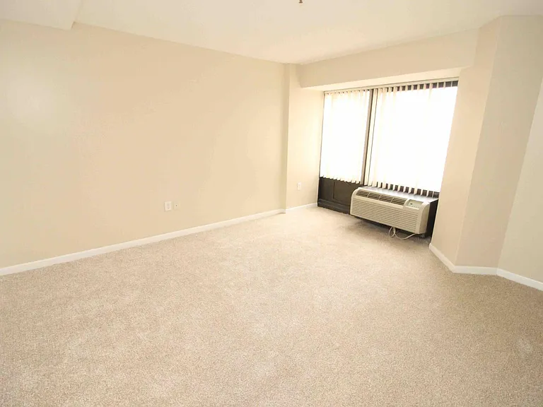 1001 W Jefferson Ave #300/29D — Photo 19