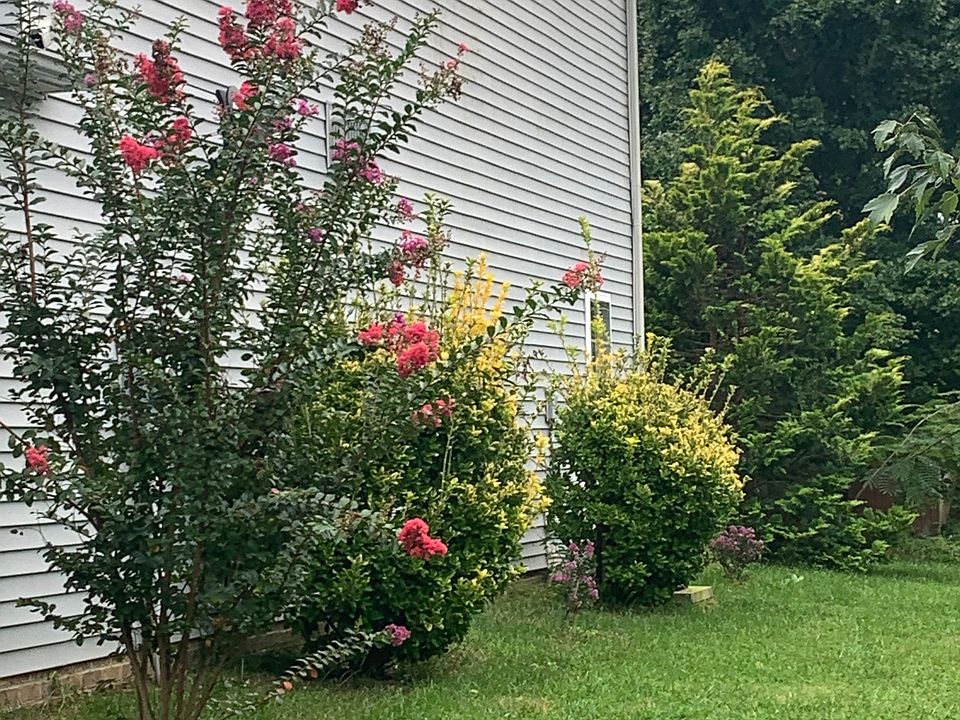 1st image of 4611 Twin Spires Dr