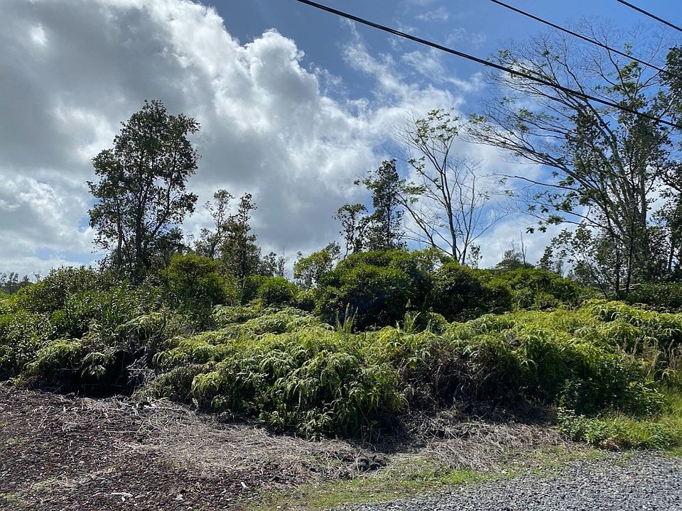 2nd image of 11th Avenue Kika Lot 1482