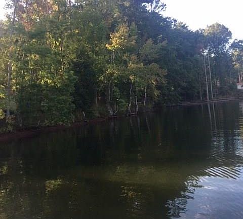 3rd image of 3 Newberry Shores Dr