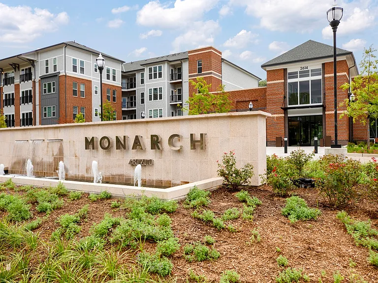 Monarch — Photo 42