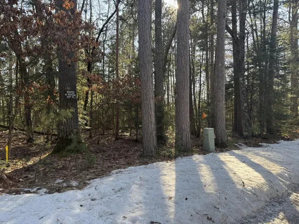 Meta Lake Rd, Three Lakes, WI 54562