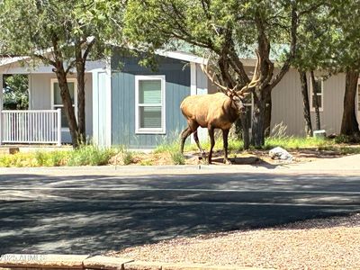 604 E Bonita St, Payson, AZ, 85541