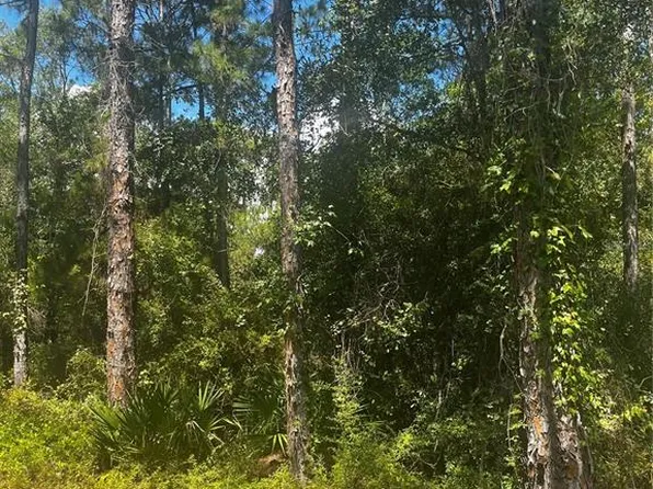 Southeast Ave Lot 10, Webster, FL 33597