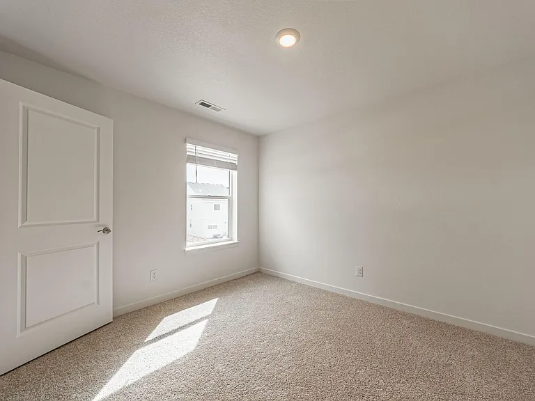 2285 Coyote Mint Dr — Photo 39