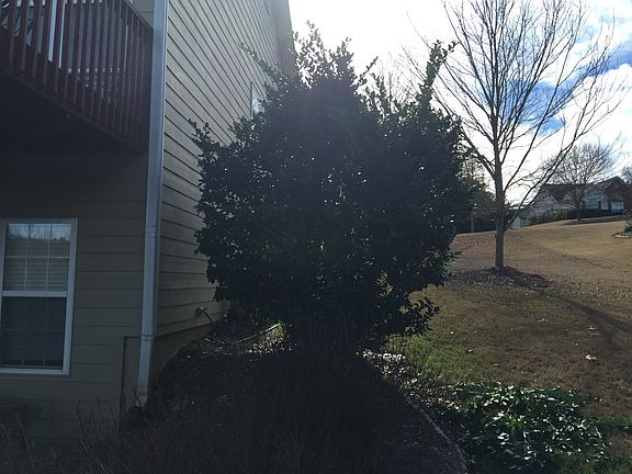 Left side of house in back