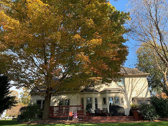 5th image of 301 Birkdale Ct