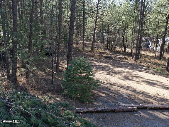 5th image of 1733 S Last Chance Rd