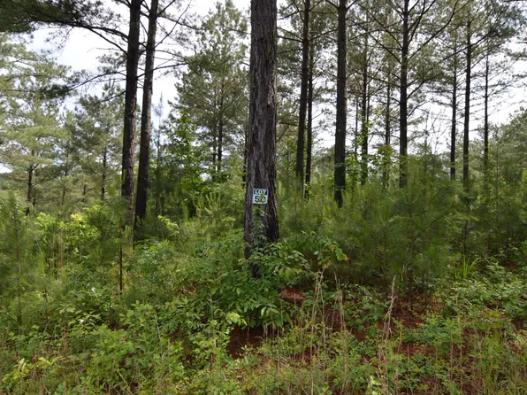 LOT 50 Pinehurst Rd, Blairsville, GA 30512