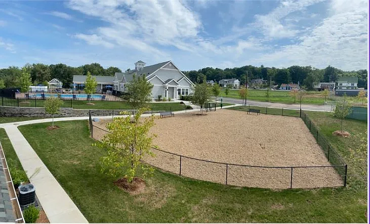 Dog Park
