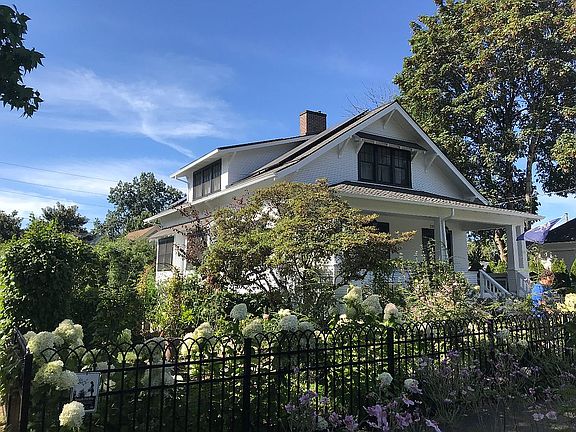 front garden - summer
