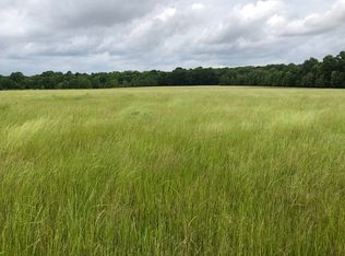 254 Dampeer Rd, Canton, MS 39046