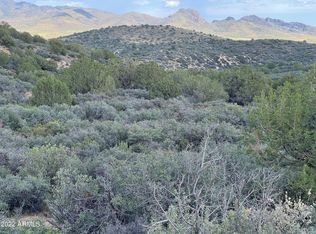 11380 Quarter Horse Rd #163, Wikieup, AZ 85360