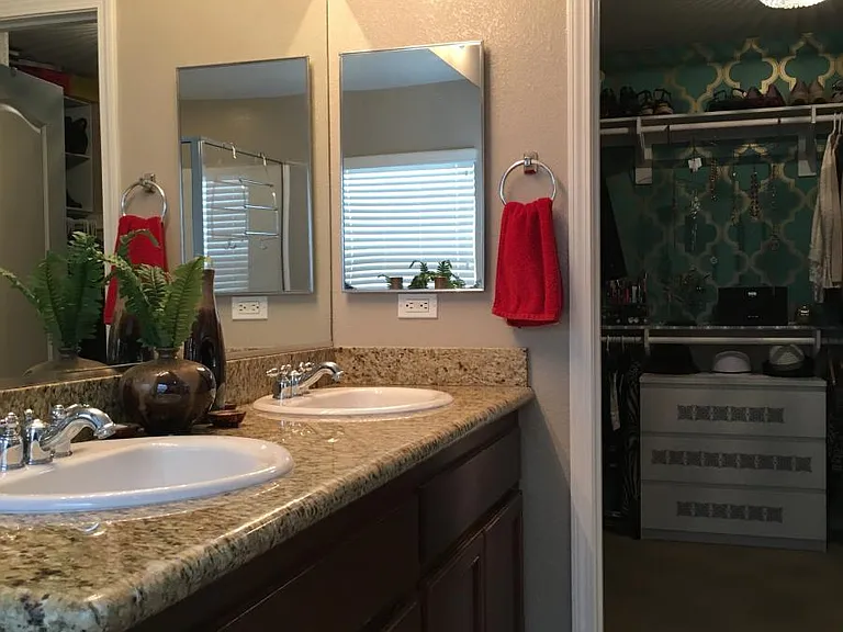 Master Bath/Walk-in closet