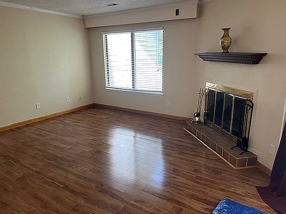 Large Den Area & Fireplace