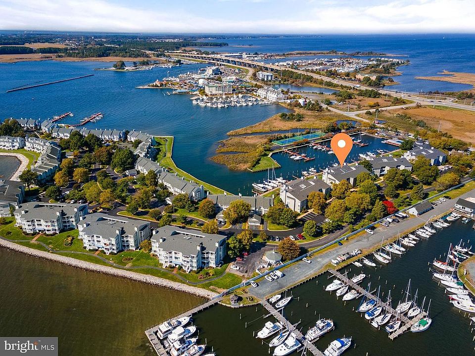 Oyster Cove and Kent Narrows