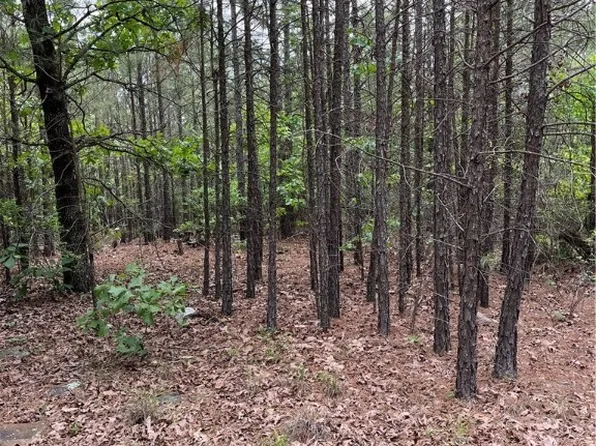 Rural Pushmataha, Moyers, OK 74557