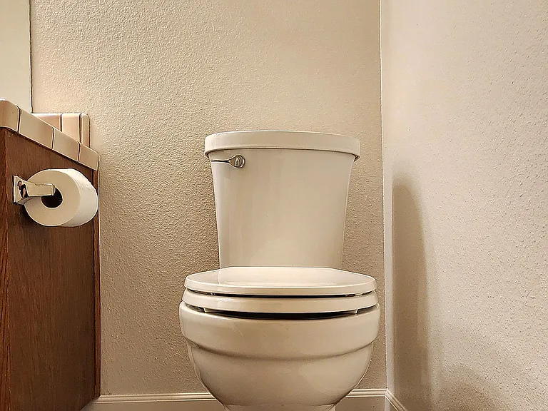 Hallway Bath New Toilet