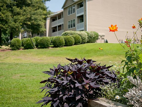 field beside apartment