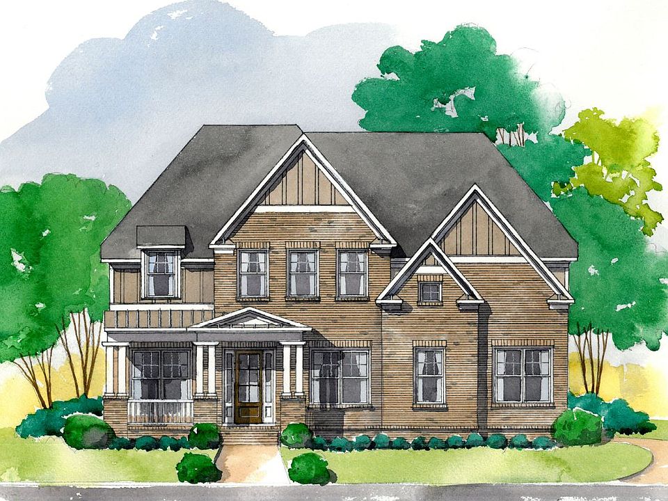 Elevation Image