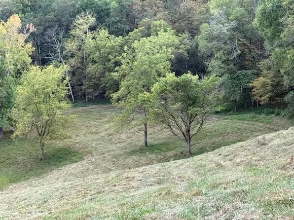 0 Patterson Ln, Pleasant Shade, TN 37145