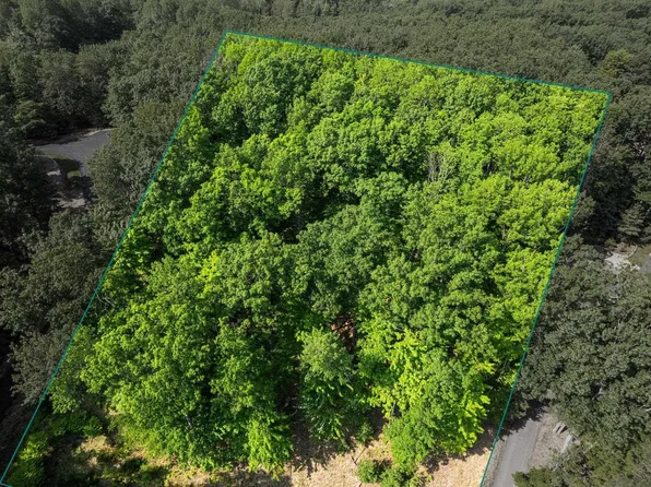 4139 Cranberry Ln, Williamsburg, MI 49690