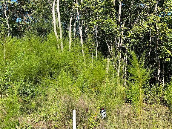 4th image of 44212 MAYHAW Lane