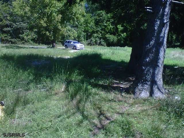 2nd image of 104 Carl Rd