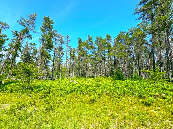 13907 N Whitefish Point Rd, Paradise, MI 49768