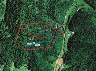 Whetstone Run, Mannington, WV 26582