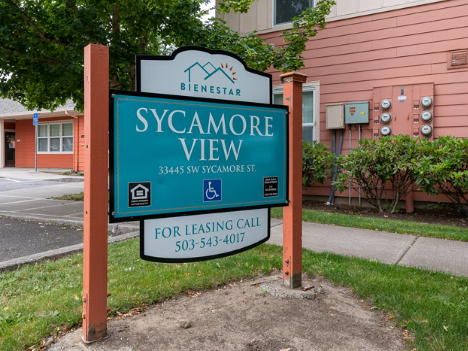 Sycamore — Photo 3