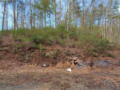 LOT 3 Coy Rhea Way, Sevierville, TN, 37876